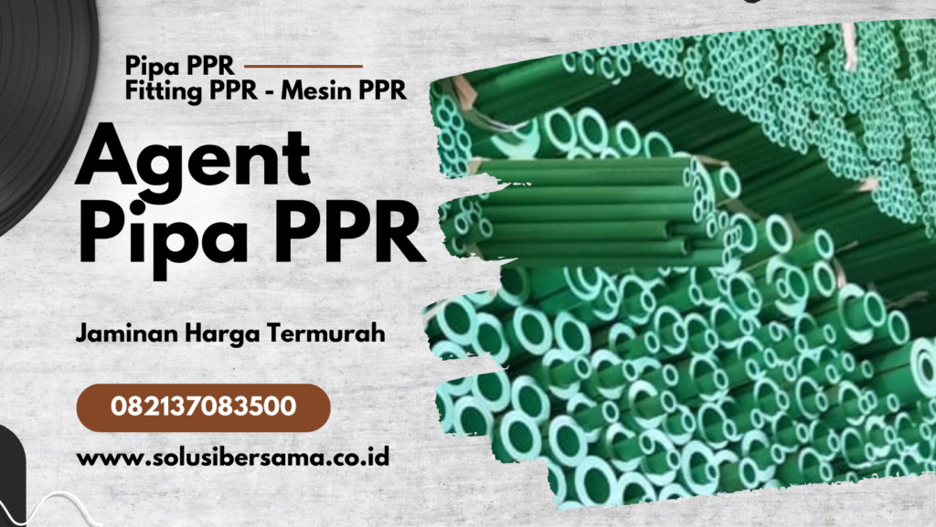 AGENT DISTRIBUTOR PIPA PPR